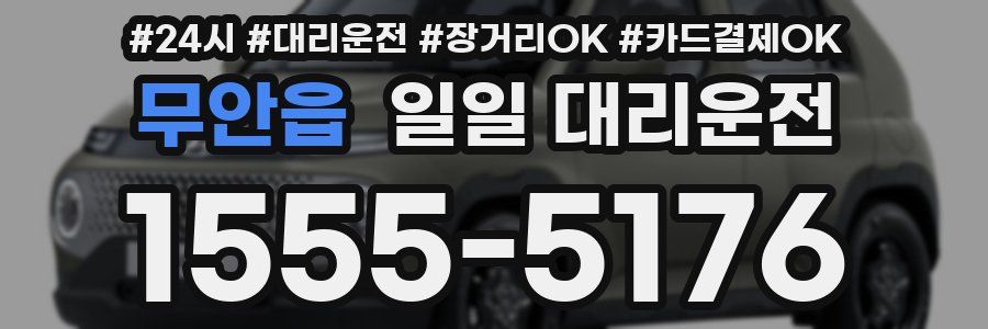 무안읍 일일 대리운전