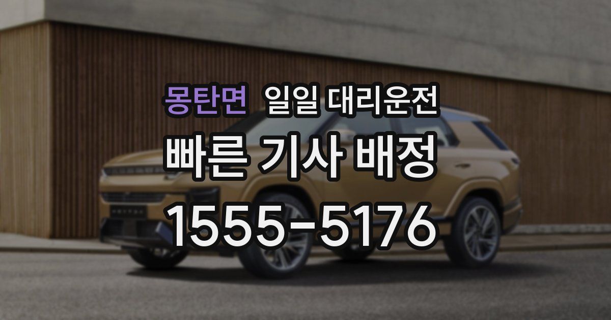 몽탄면 일일 대리운전