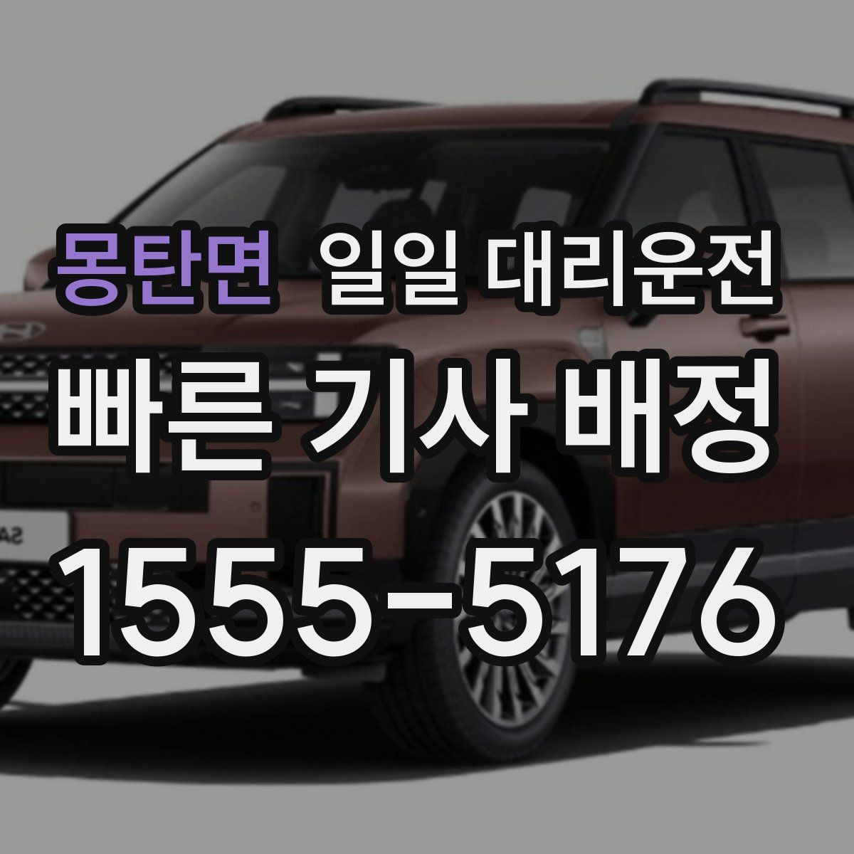 몽탄면 일일 대리운전