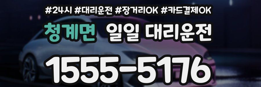 청계면 일일 대리운전