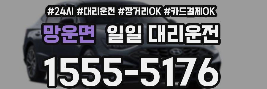 망운면 일일 대리운전