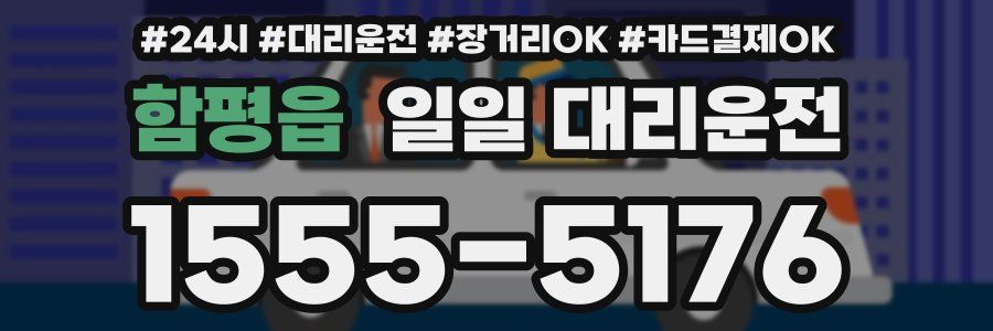 함평읍 일일 대리운전