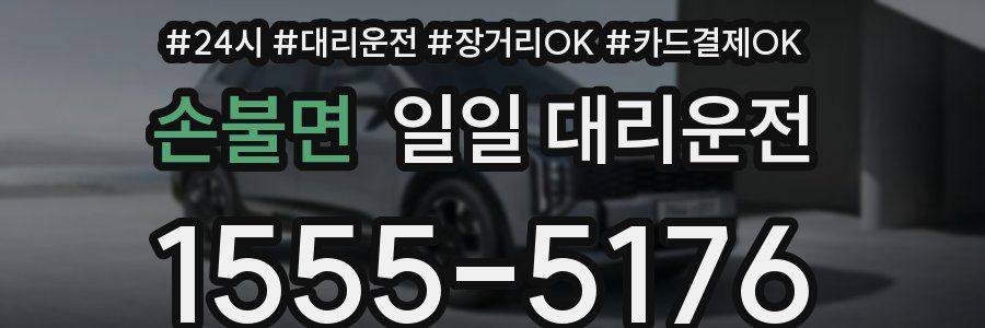 손불면 일일 대리운전