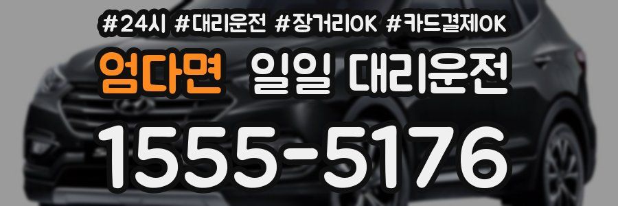 엄다면 일일 대리운전