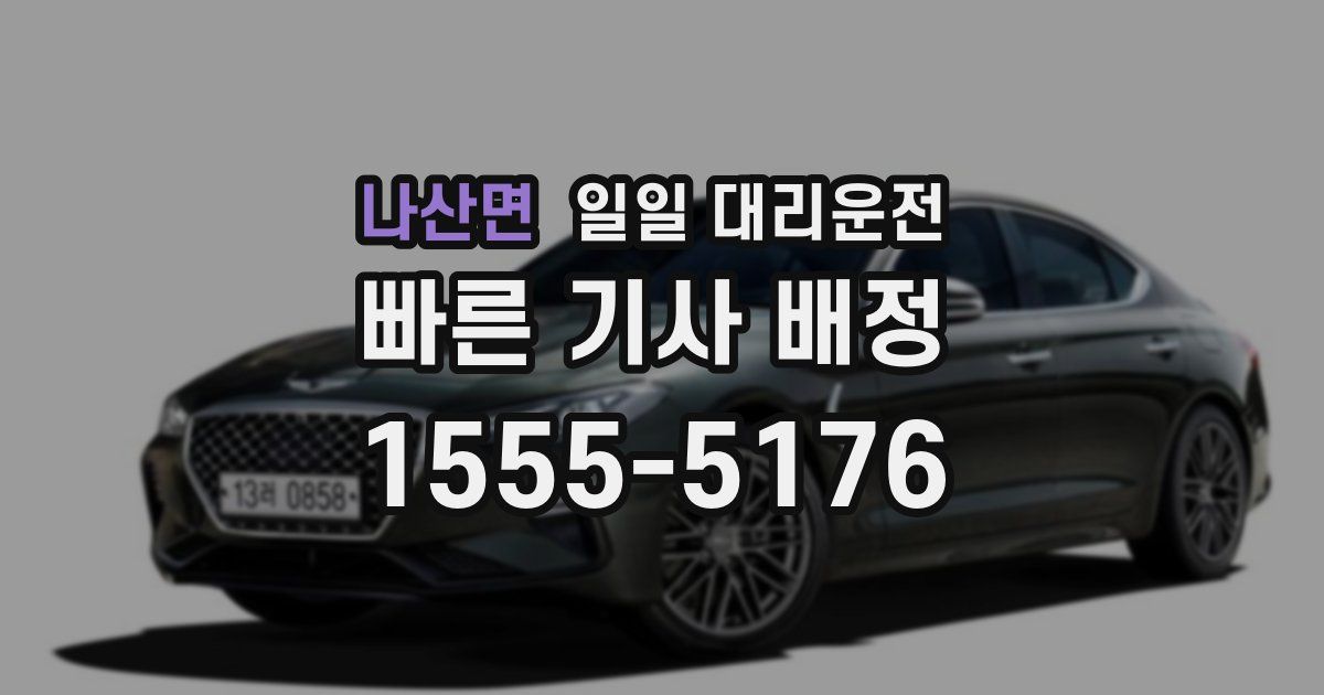 나산면 일일 대리운전