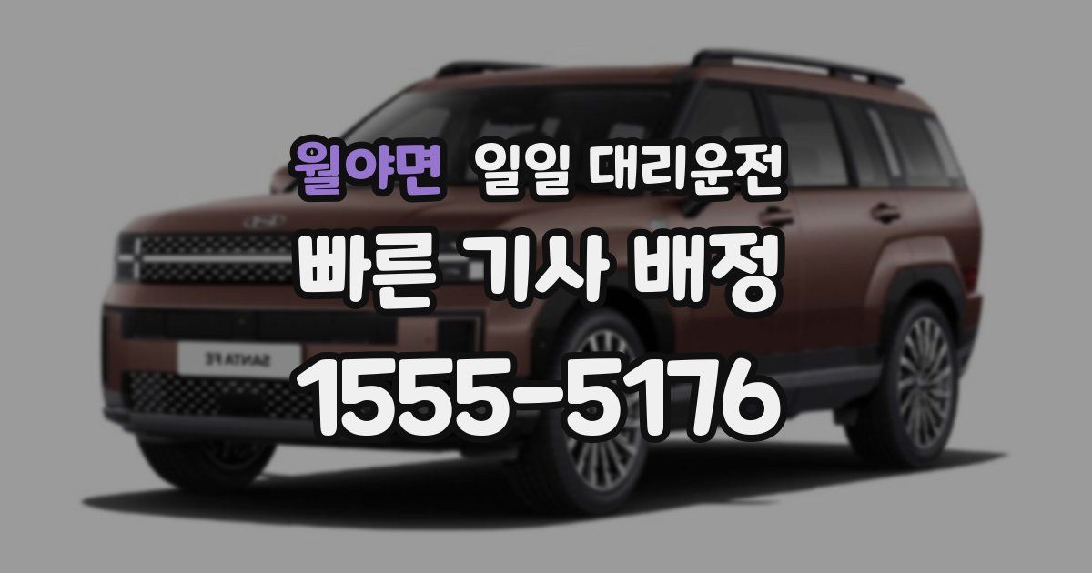 월야면 일일 대리운전