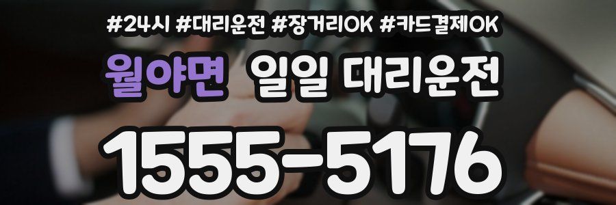 월야면 일일 대리운전