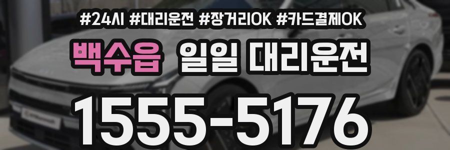 백수읍 일일 대리운전