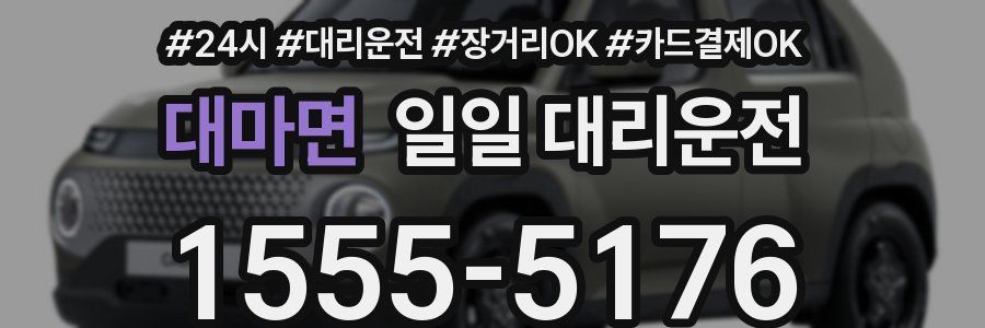 대마면 일일 대리운전