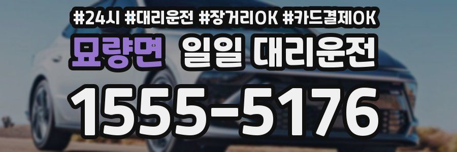 묘량면 일일 대리운전