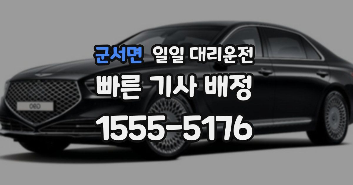 군서면 일일 대리운전