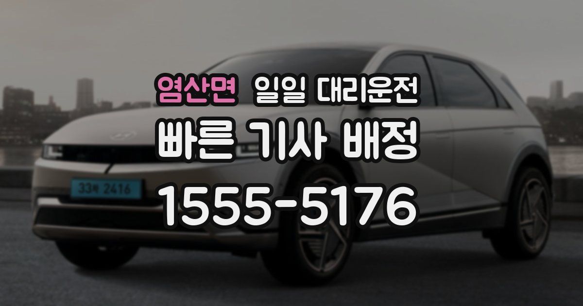 염산면 일일 대리운전