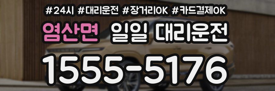 염산면 일일 대리운전