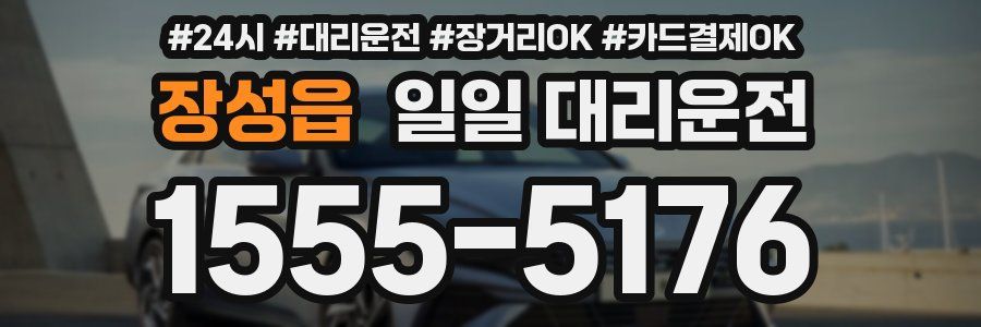 장성읍 일일 대리운전