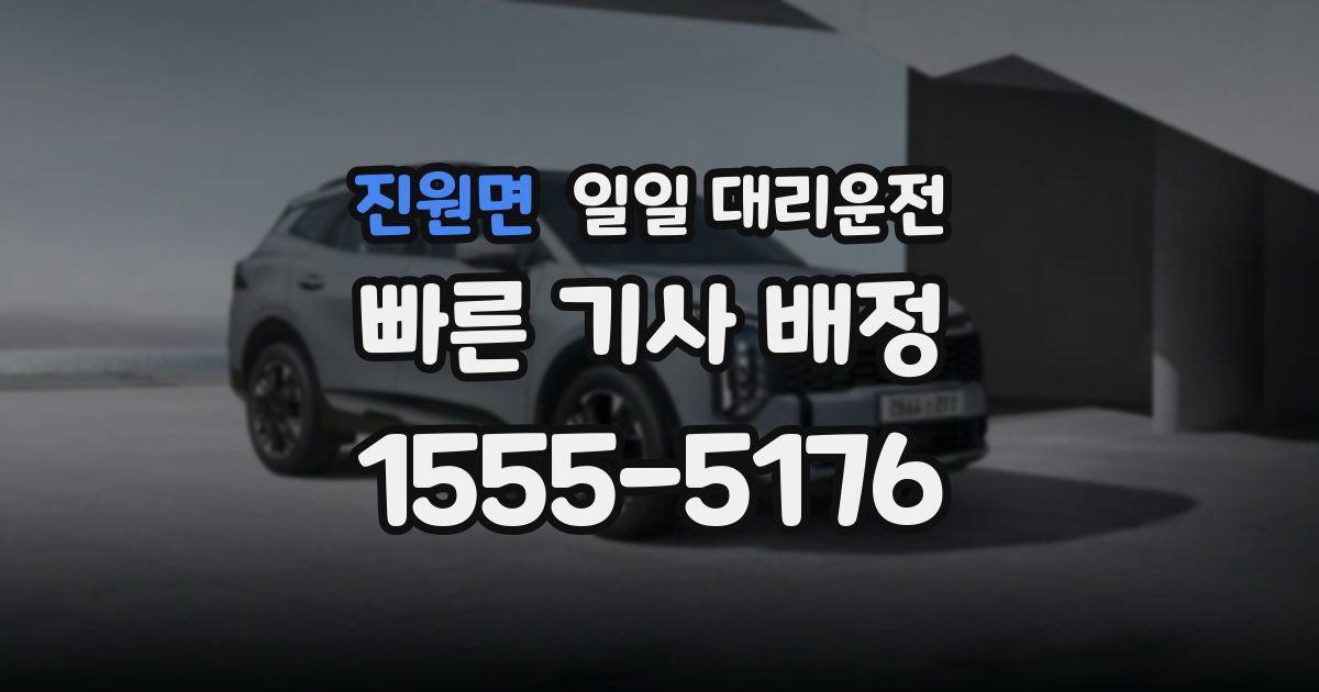 진원면 일일 대리운전