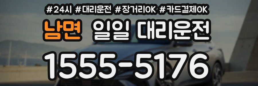 남면 일일 대리운전