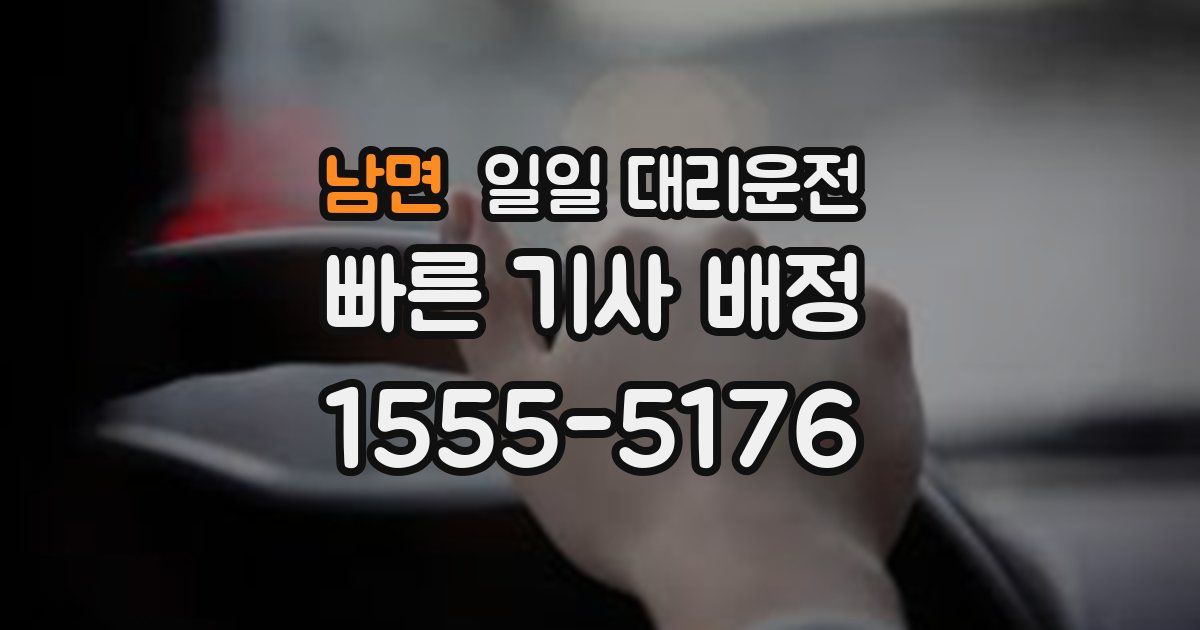 남면 일일 대리운전