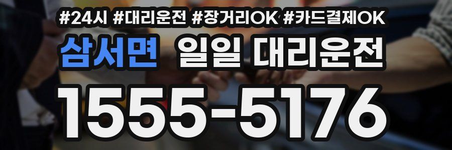삼서면 일일 대리운전
