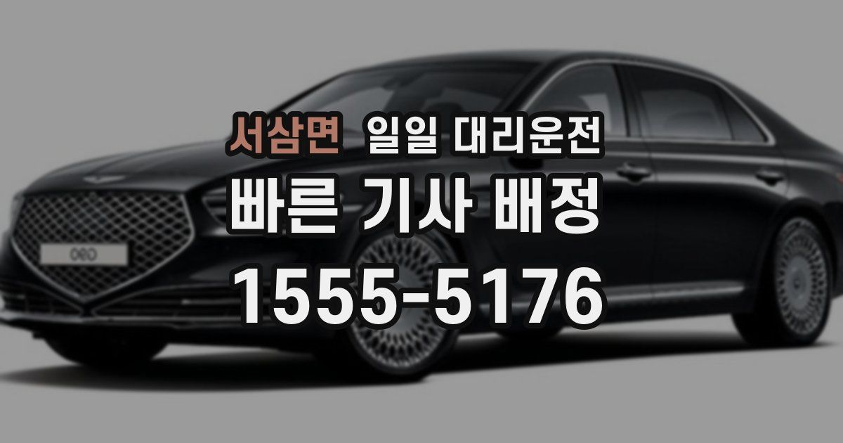서삼면 일일 대리운전