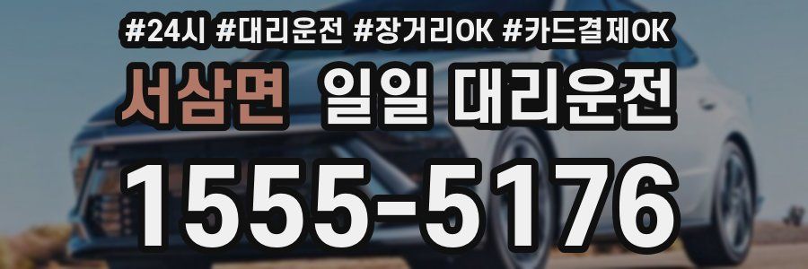 서삼면 일일 대리운전
