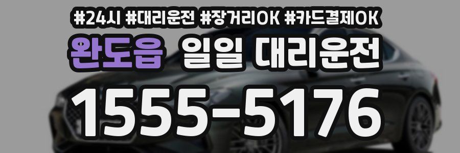 완도읍 일일 대리운전