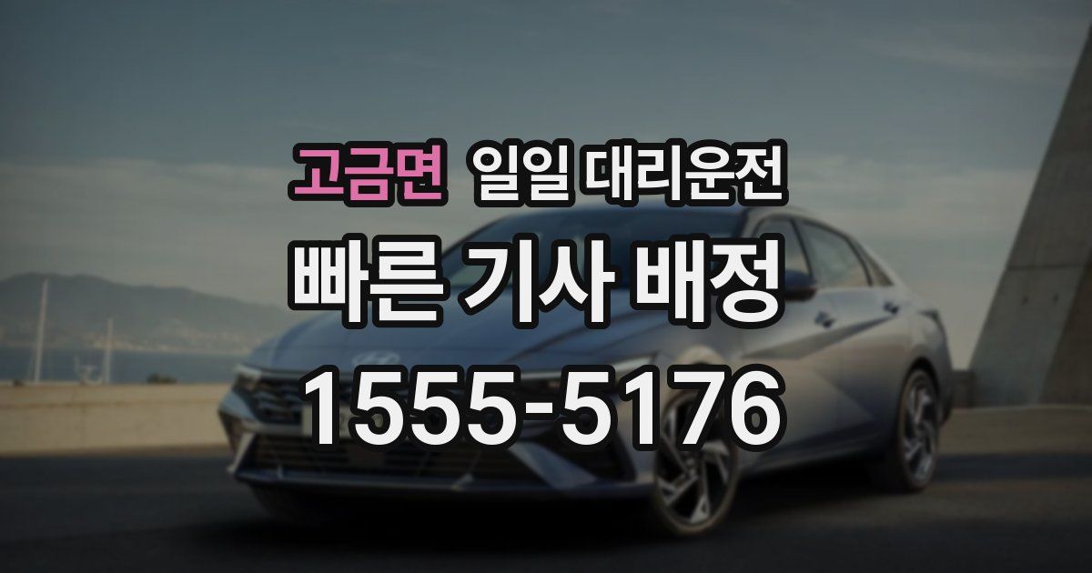 고금면 일일 대리운전