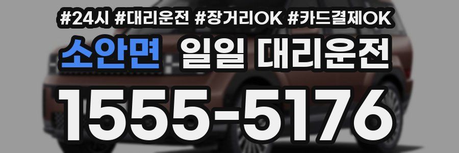 소안면 일일 대리운전