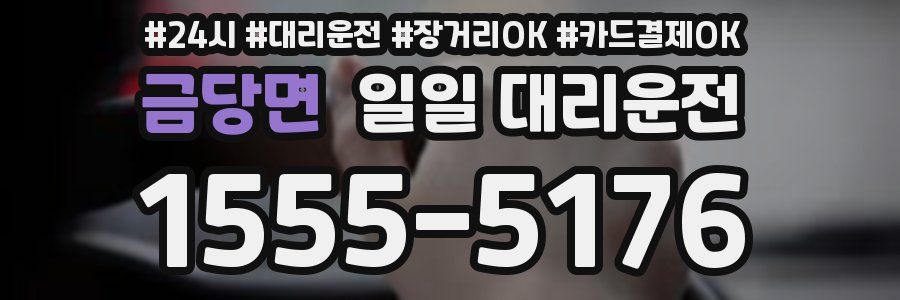 금당면 일일 대리운전