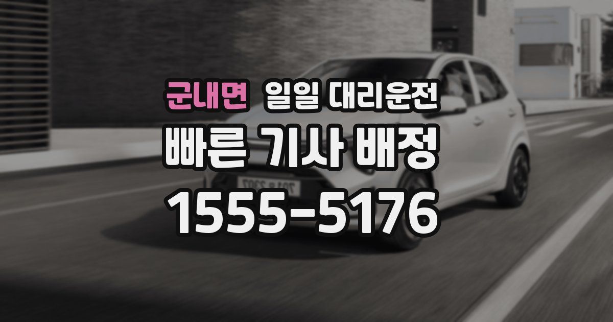 군내면 일일 대리운전