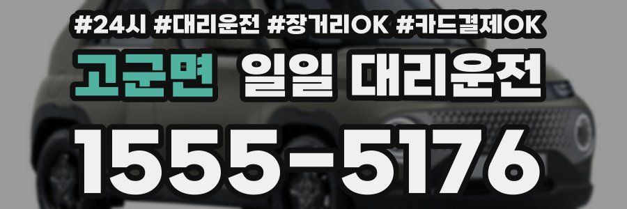 고군면 일일 대리운전