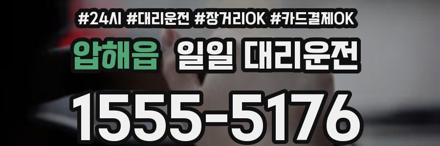 압해읍 일일 대리운전