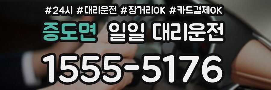 증도면 일일 대리운전