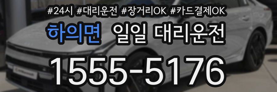 하의면 일일 대리운전