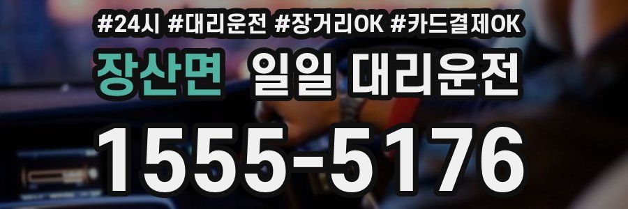 장산면 일일 대리운전