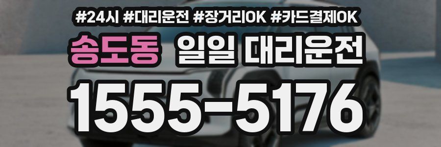 송도동 일일 대리운전
