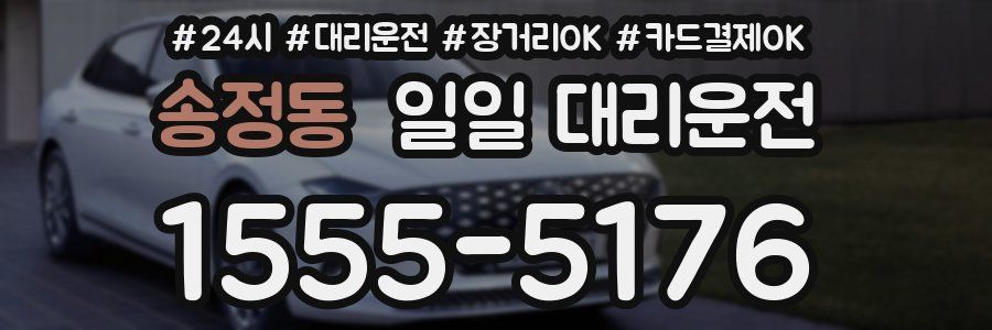 송정동 일일 대리운전