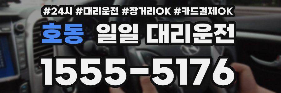 호동 일일 대리운전