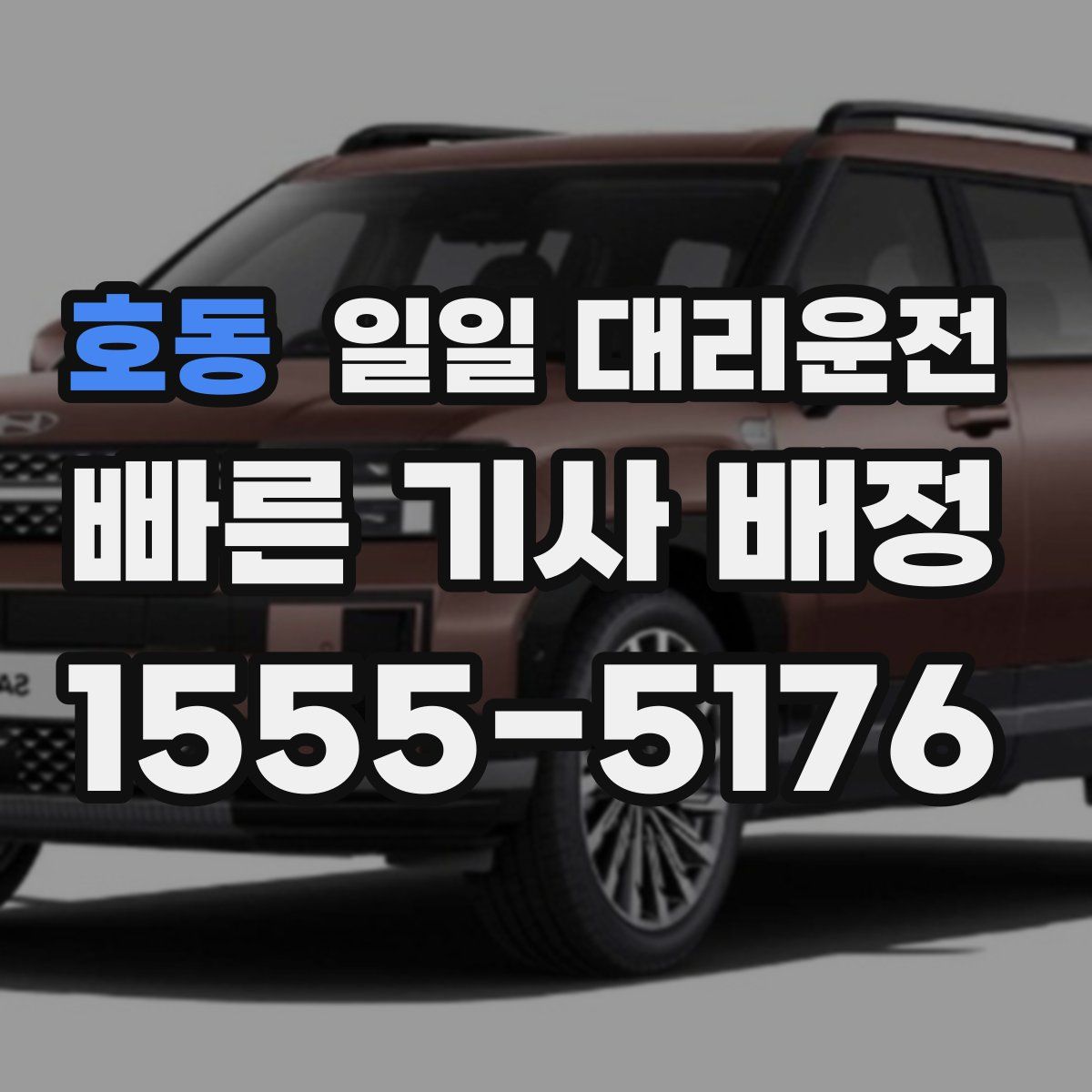 호동 일일 대리운전