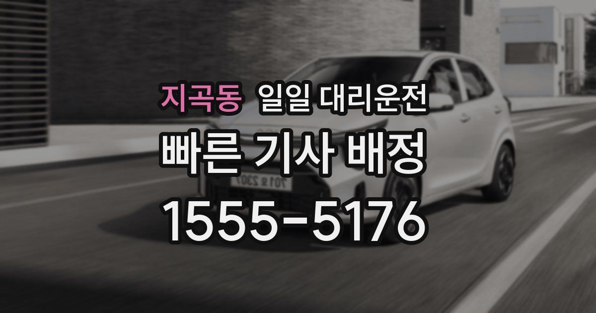 지곡동 일일 대리운전