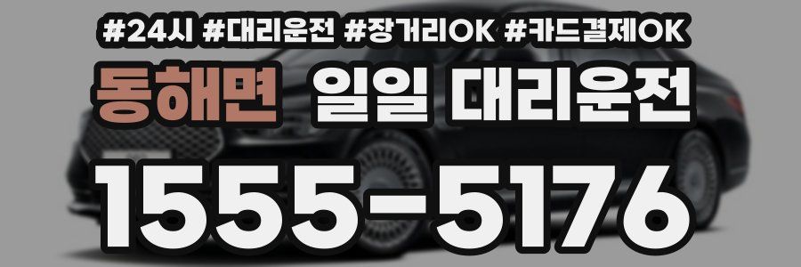 동해면 일일 대리운전