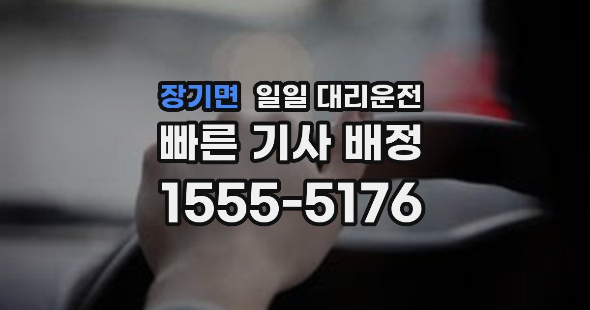 장기면 일일 대리운전
