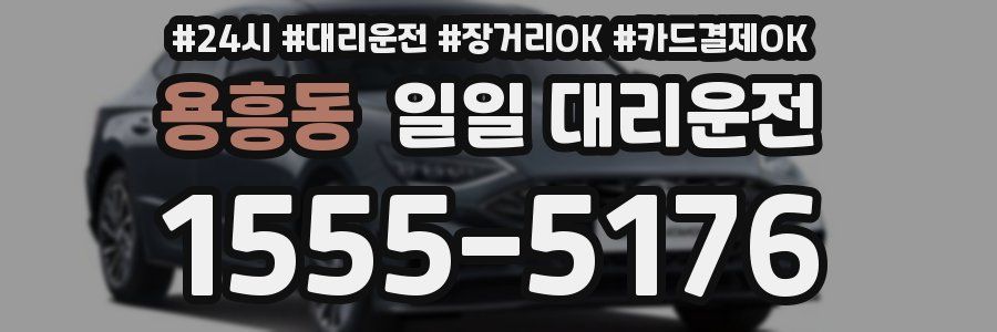 용흥동 일일 대리운전