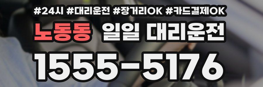 노동동 일일 대리운전