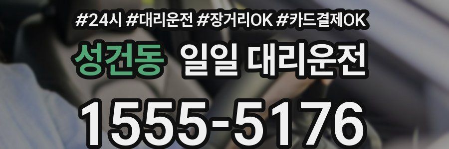 성건동 일일 대리운전