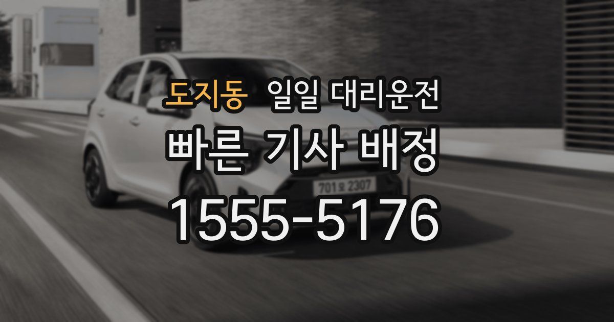 도지동 일일 대리운전