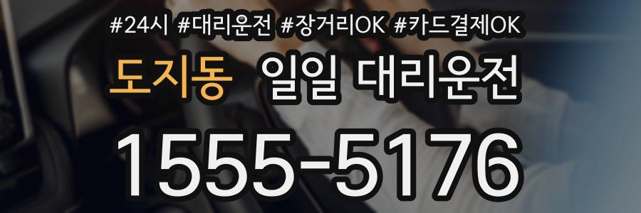 도지동 일일 대리운전