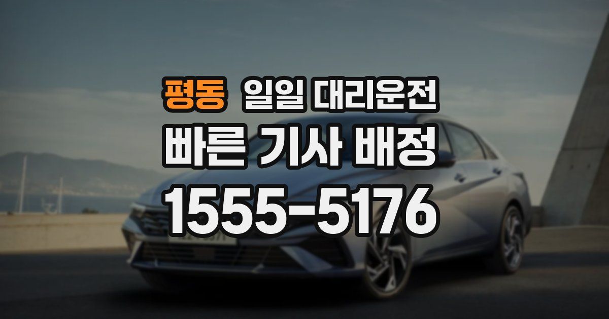 평동 일일 대리운전