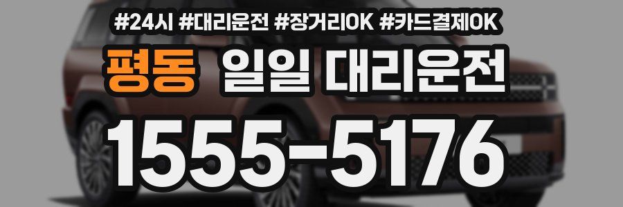 평동 일일 대리운전