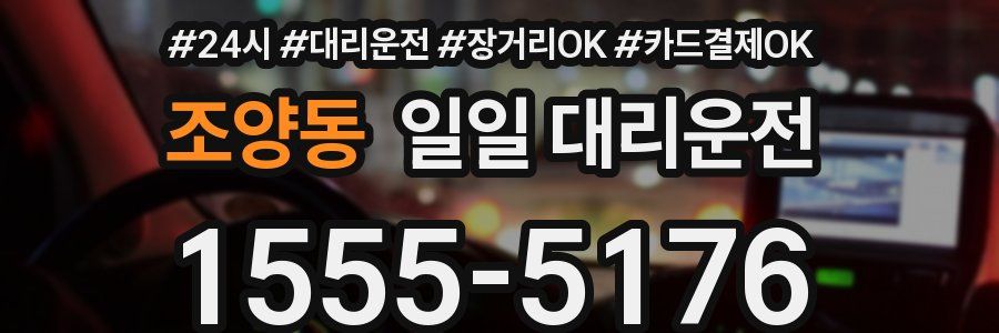 조양동 일일 대리운전