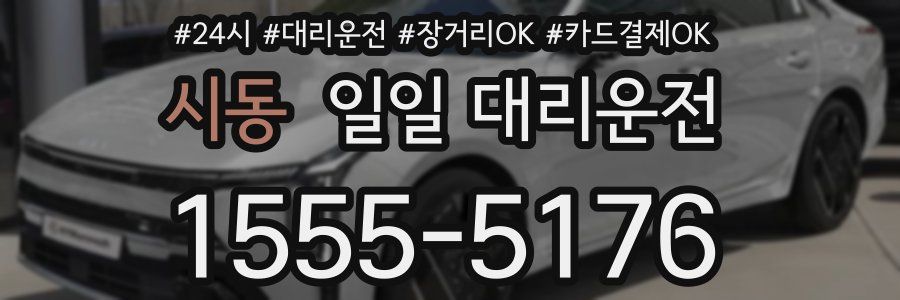 시동 일일 대리운전